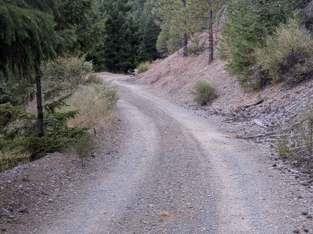 Potato Creek Road - FS 30N04  photo 3