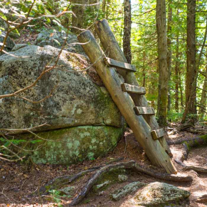 Near Noonmark Mountain