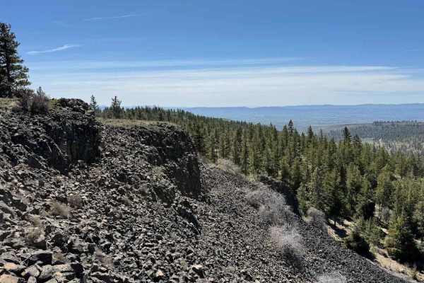 Tyee Road