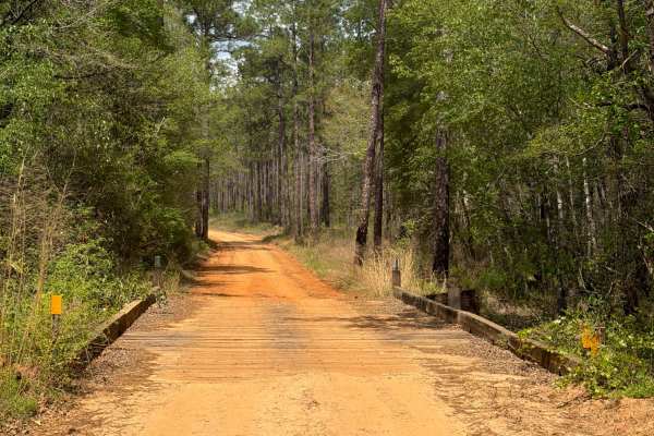 Bullard Church Road