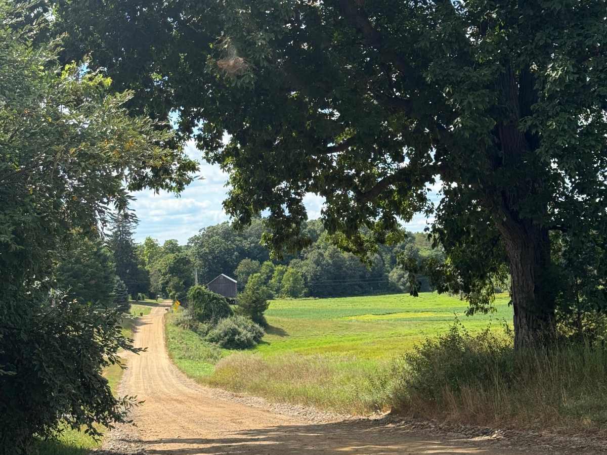 Camp Trail trail photo