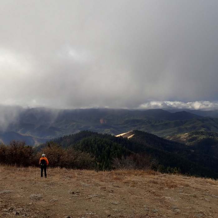 Near Jack-Ash Trail (Phase I)