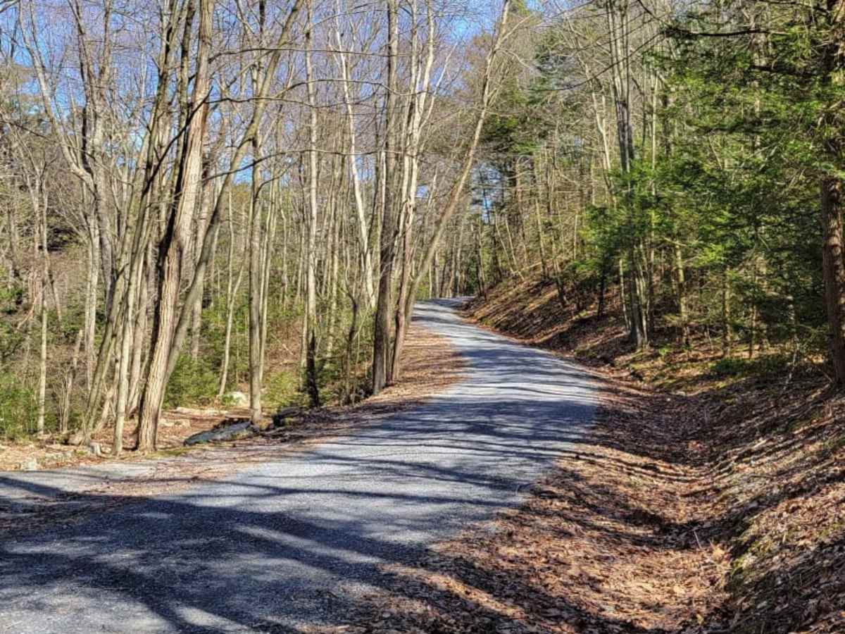 Hemlock Road photo 2