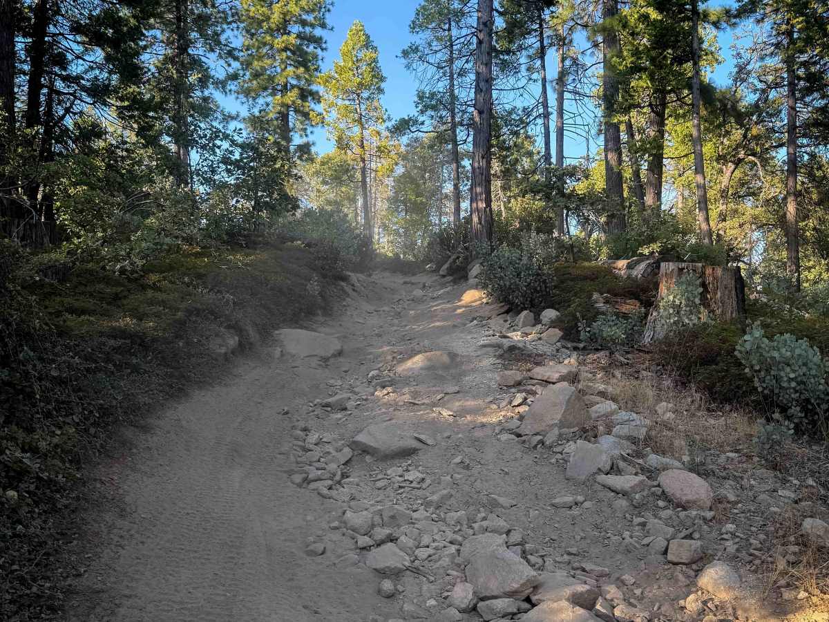 21E235 trail photo