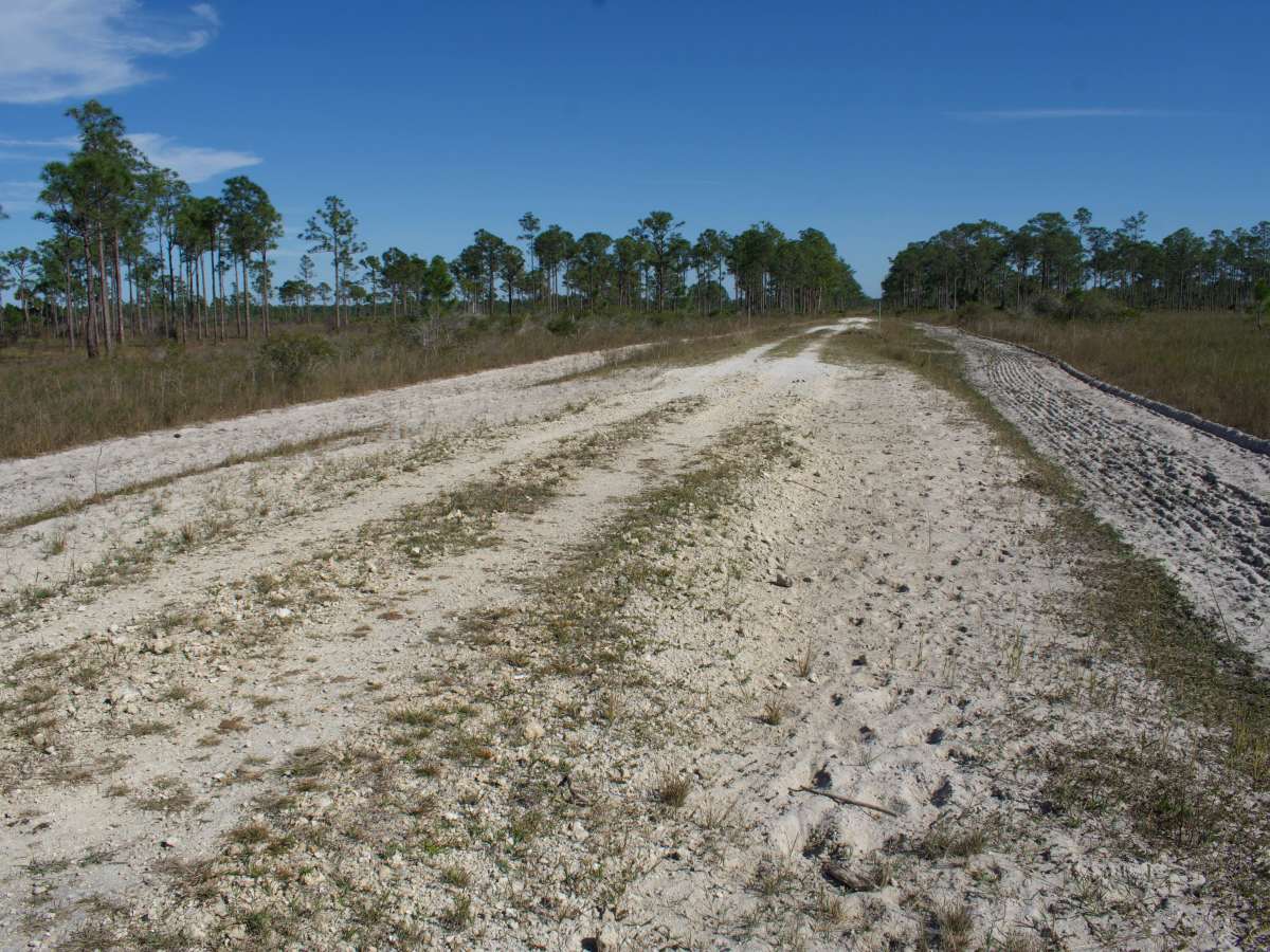 Road 8 photo 6