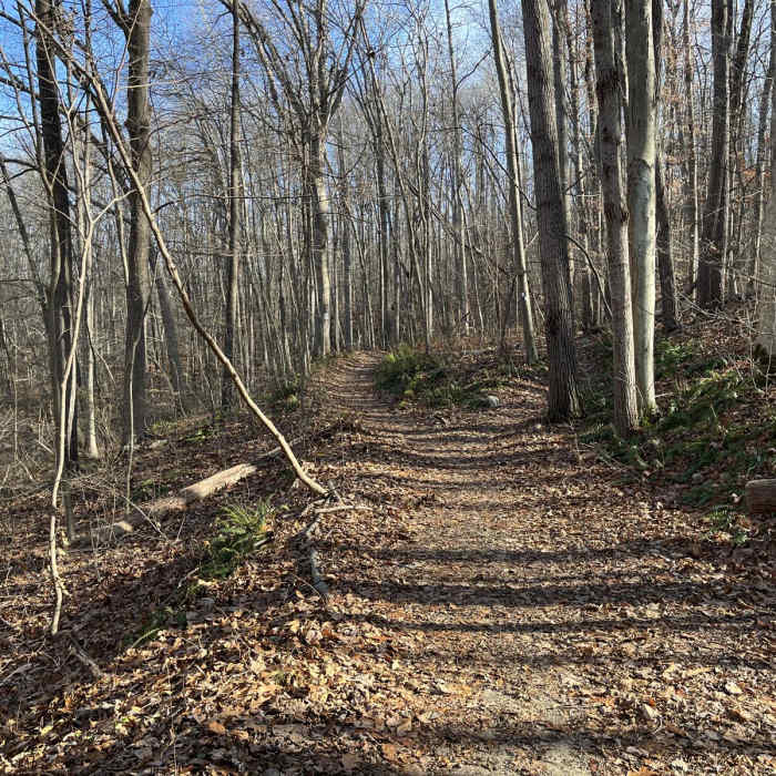 Near Stephens State Park Loop Near Stephens State Park Loop