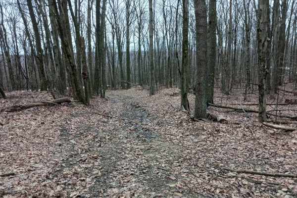W Road - Rock Run Recreation Area