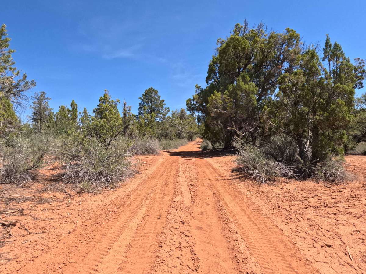 BLM 71 photo 6