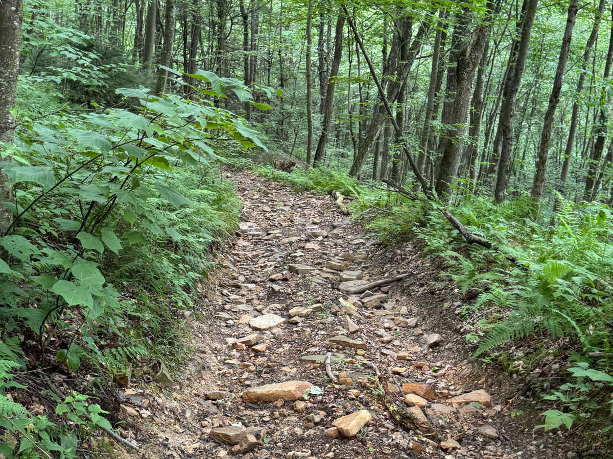 Trail 32 photo 5