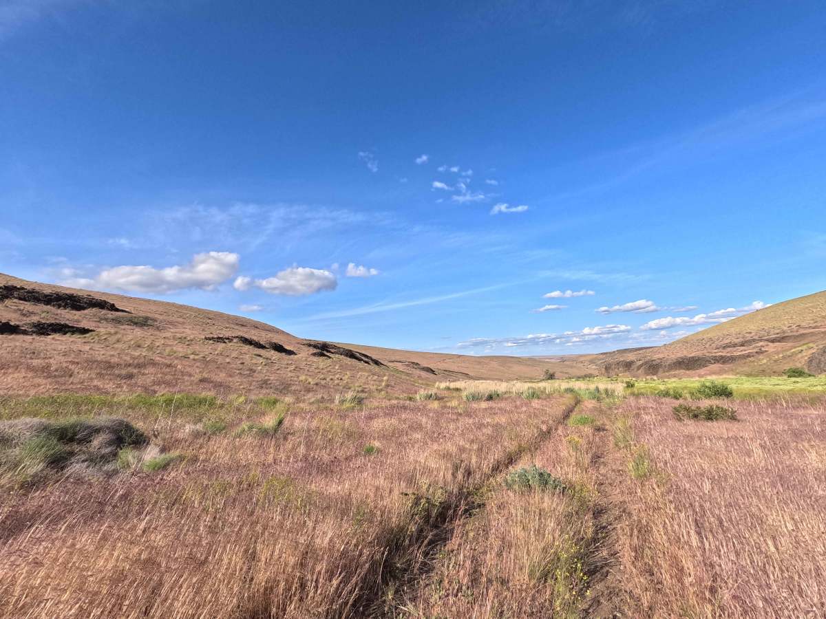 Hartman Creek Road photo 3