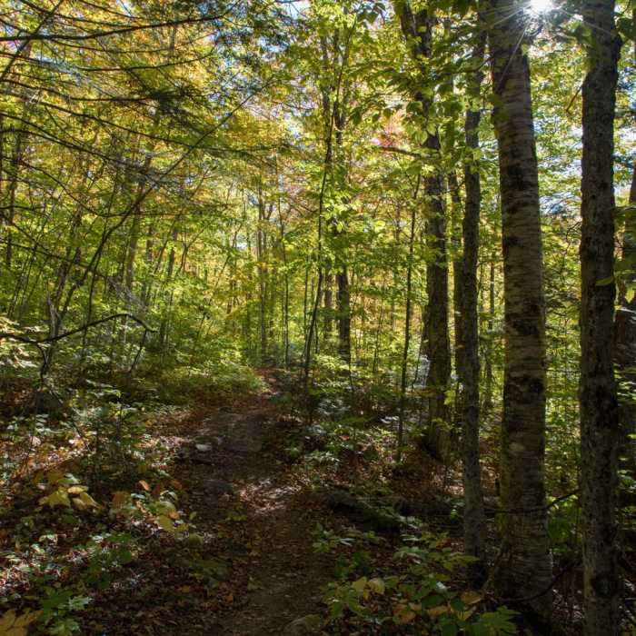 Near Table Mountain Near Table Mountain