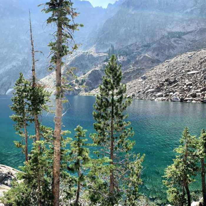 Near Alpine Way to Goat Lake