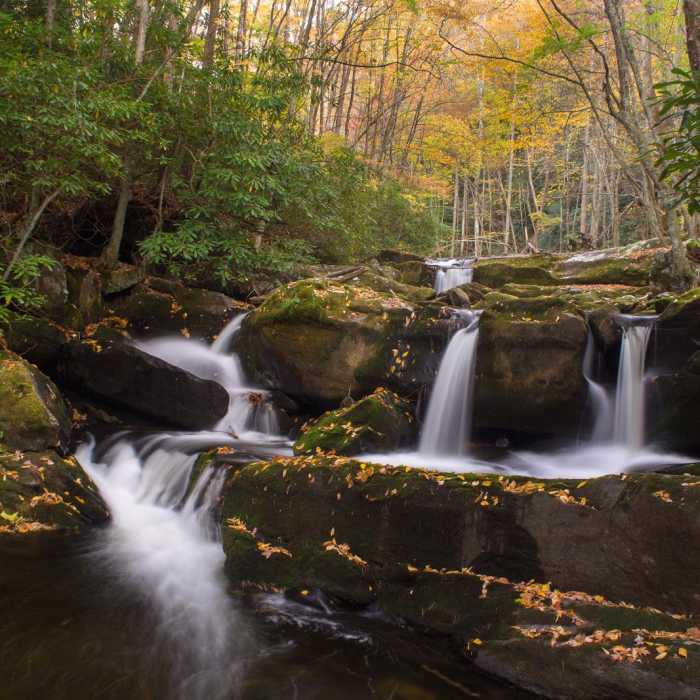 Near Middle Prong Trail Near Middle Prong Trail