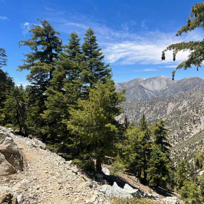 Near Ontario and Bighorn Peaks