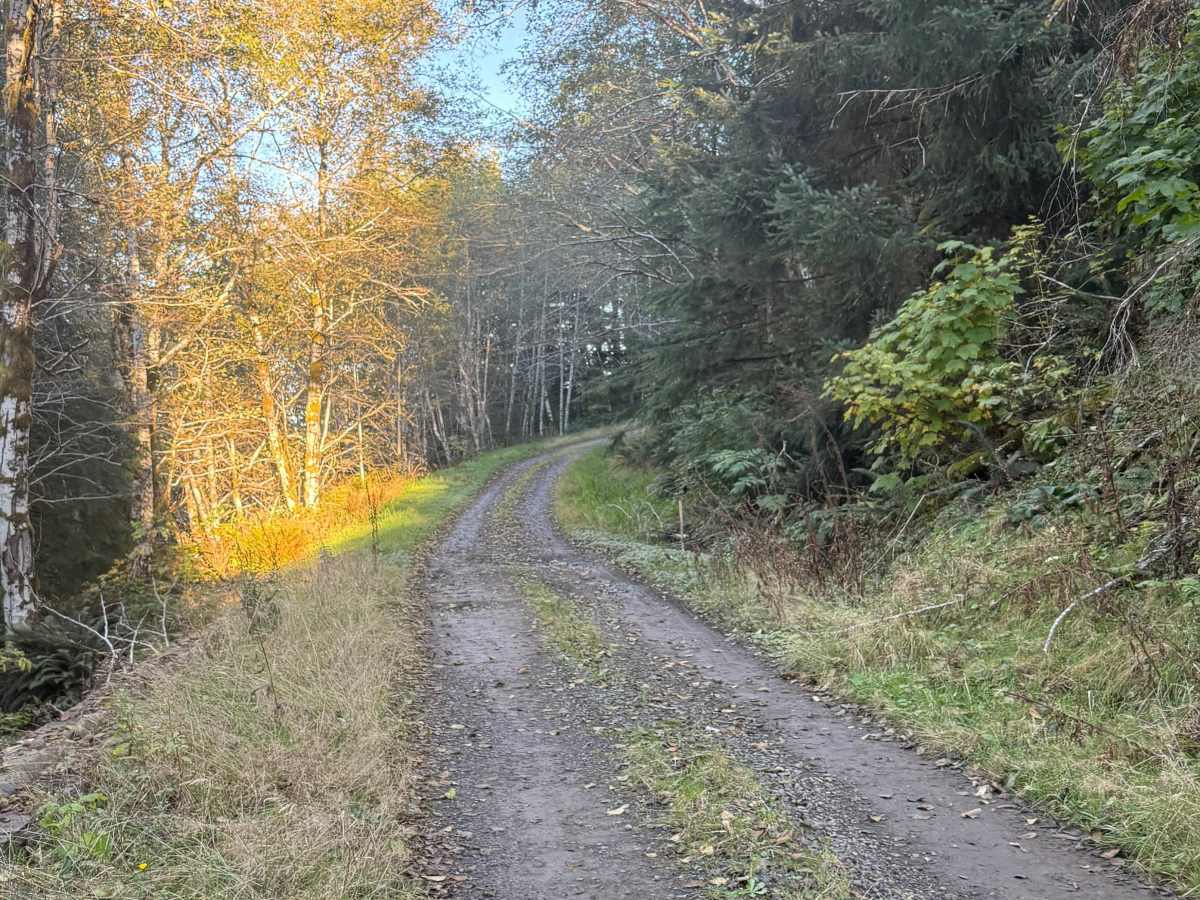 FRF 1000 trail photo