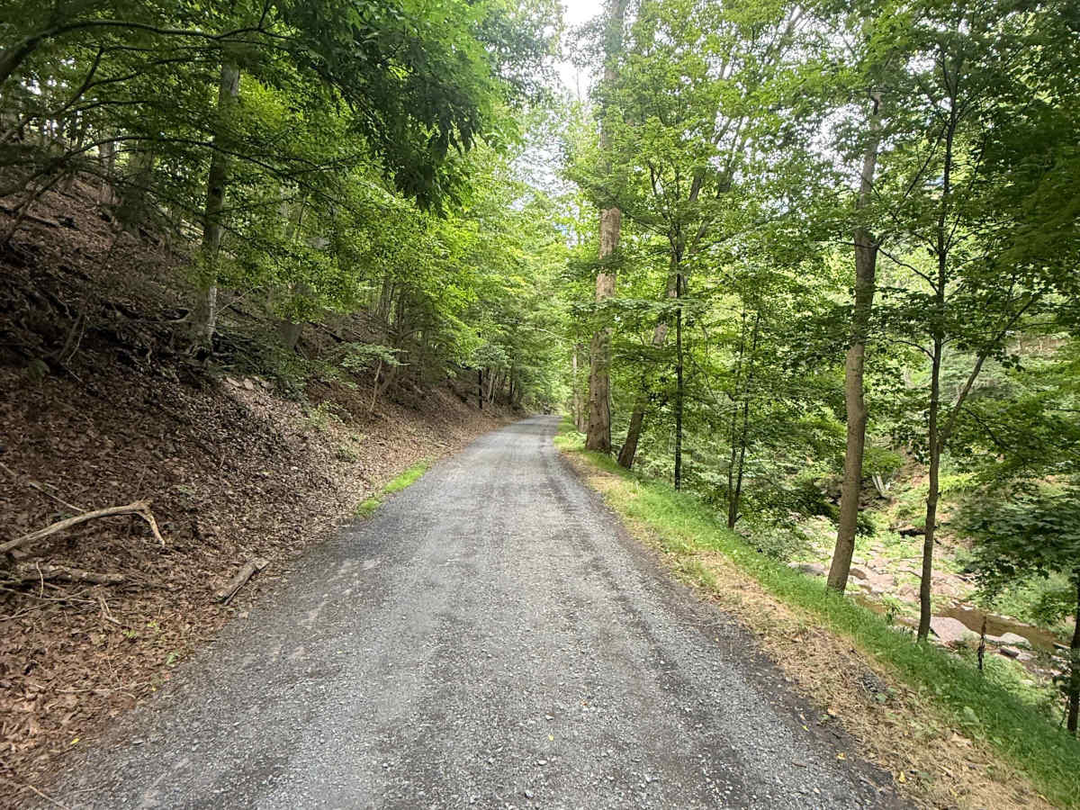 Smithtown Road photo 5