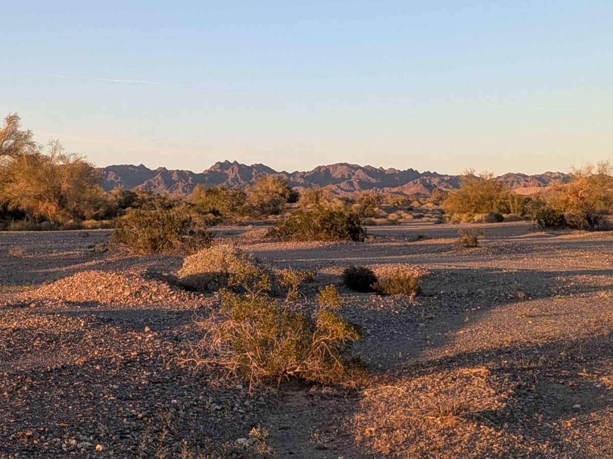 BLM 611 photo 6
