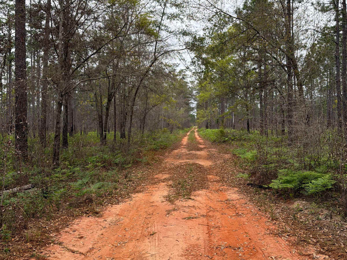 J 50 trail photo