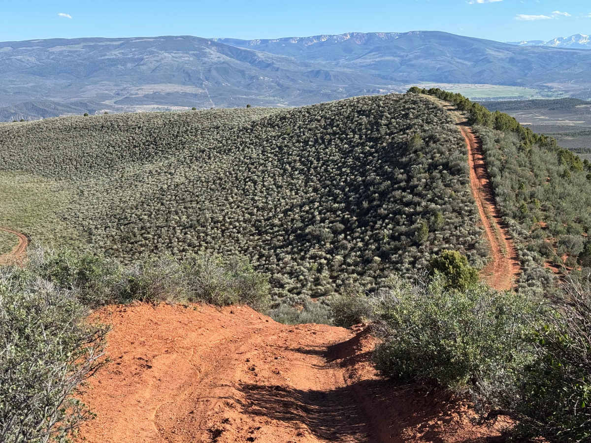 BLM 8485 trail photo