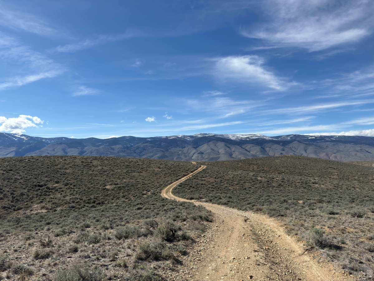 BLM 128 photo 6