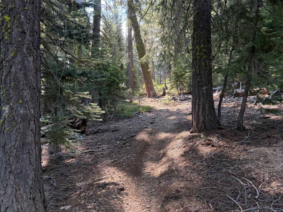 06 Moto Trail photo 5