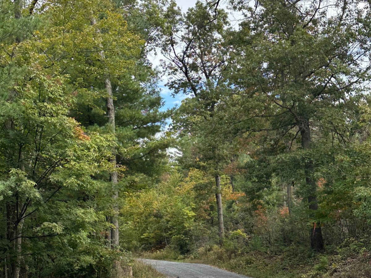 Staley Road photo 3