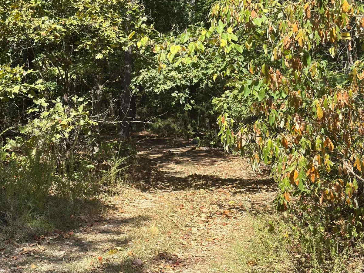 Central - FS 553 trail photo