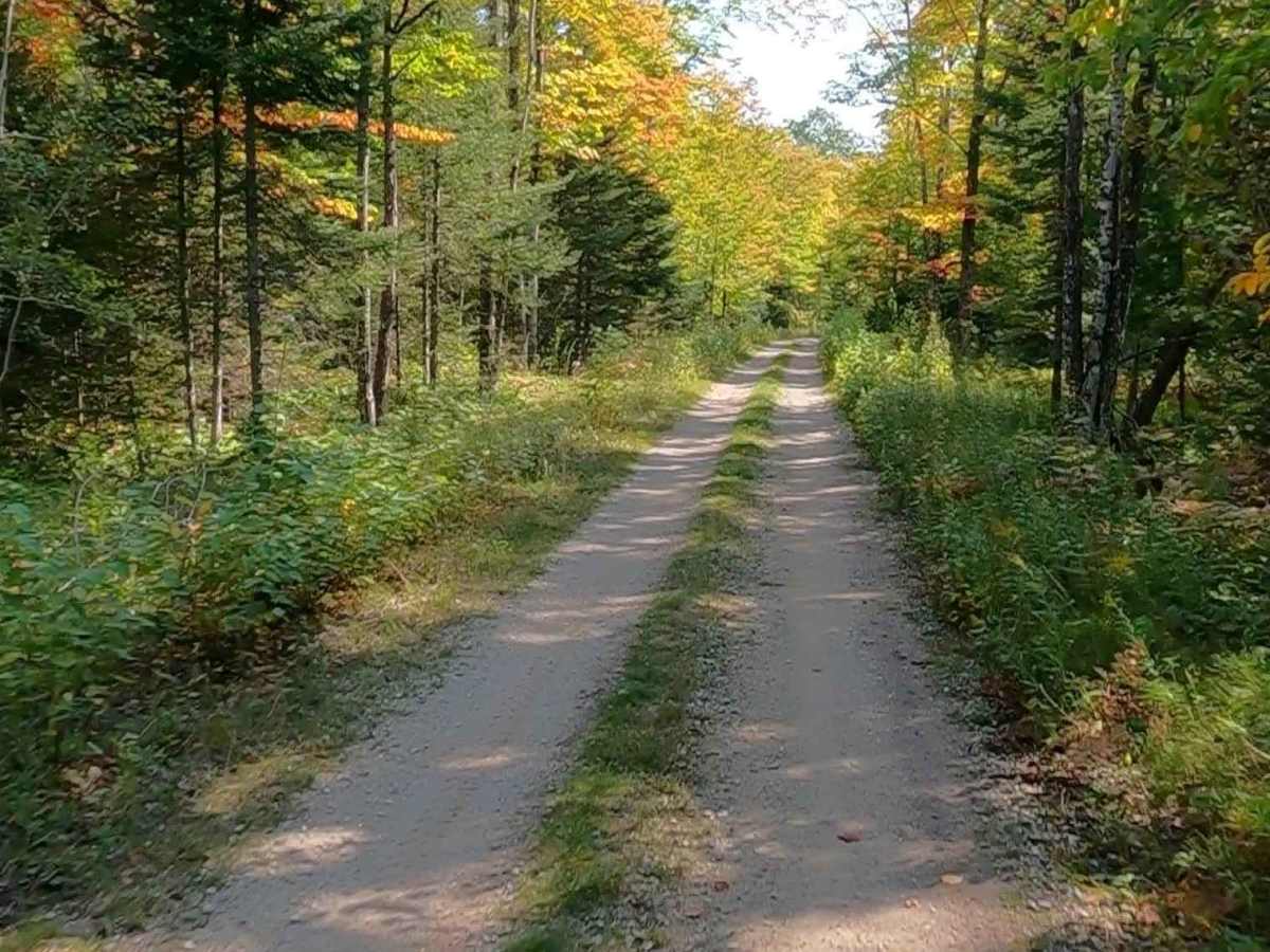 ORV Route A Service Bridge - FS 3810  trail photo