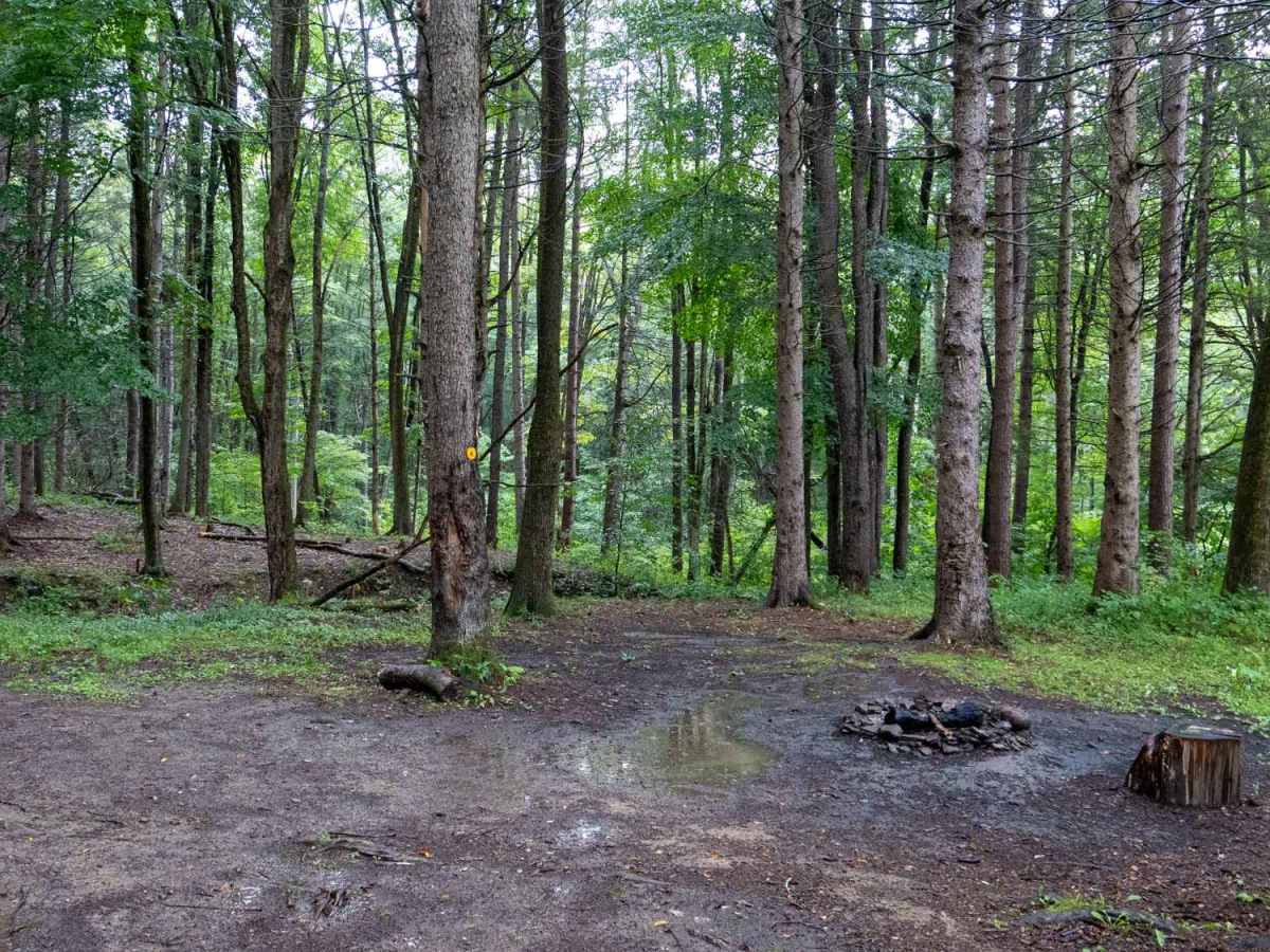 Mutton Hollow Road photo 6