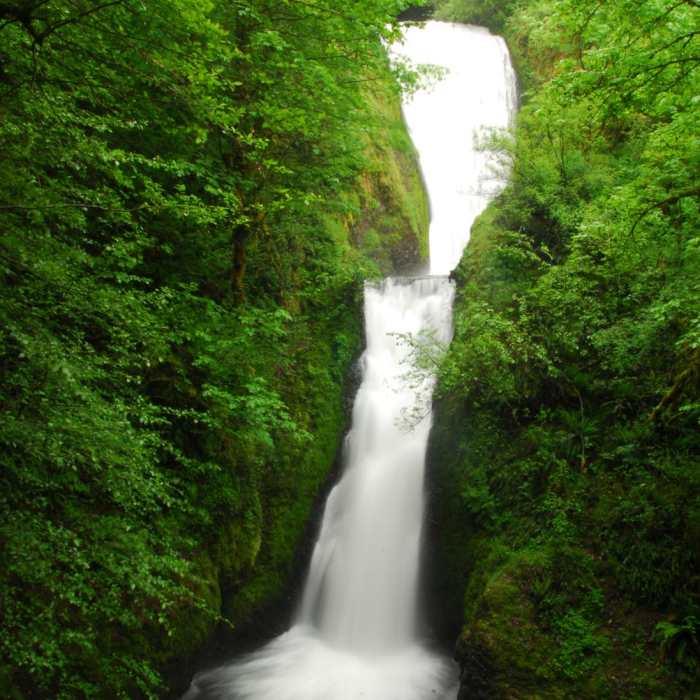 Near Bridal Veil Falls, Oregon