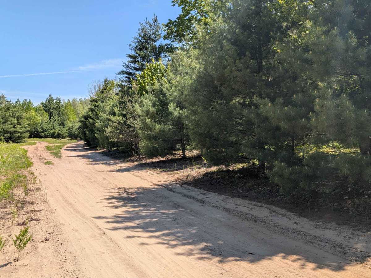 West Farhney Road trail photo