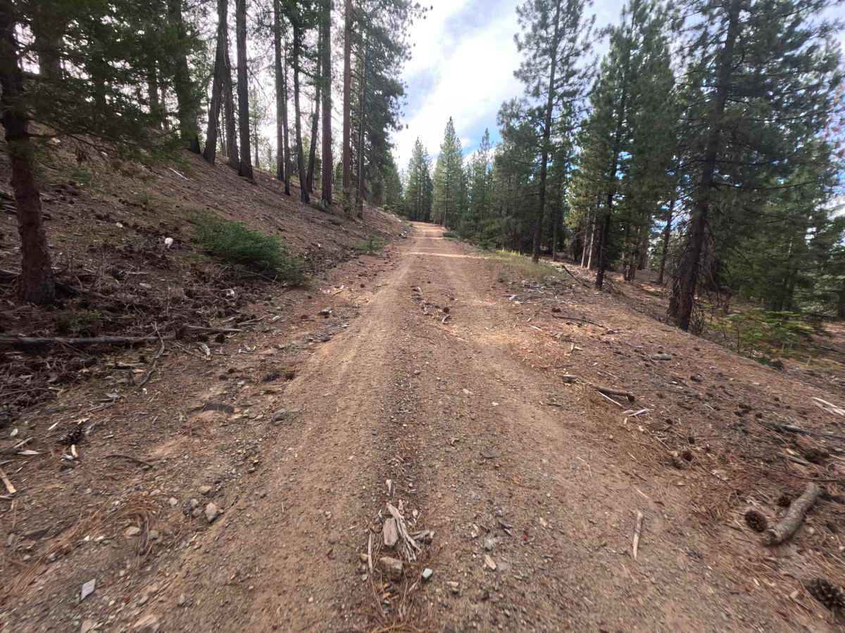 Ball Rock Ridge - FS 24N41 photo 6