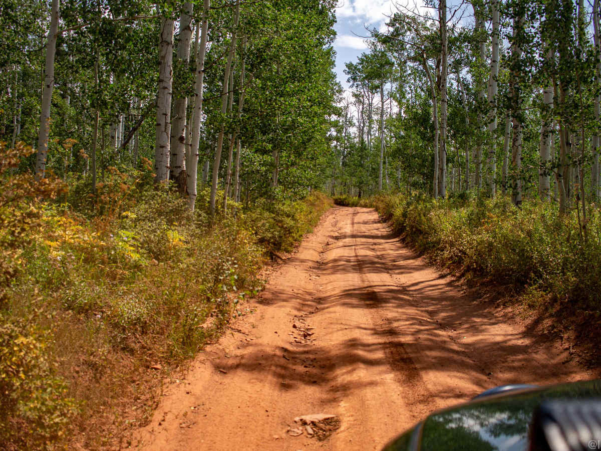 Red Table Road photo 4
