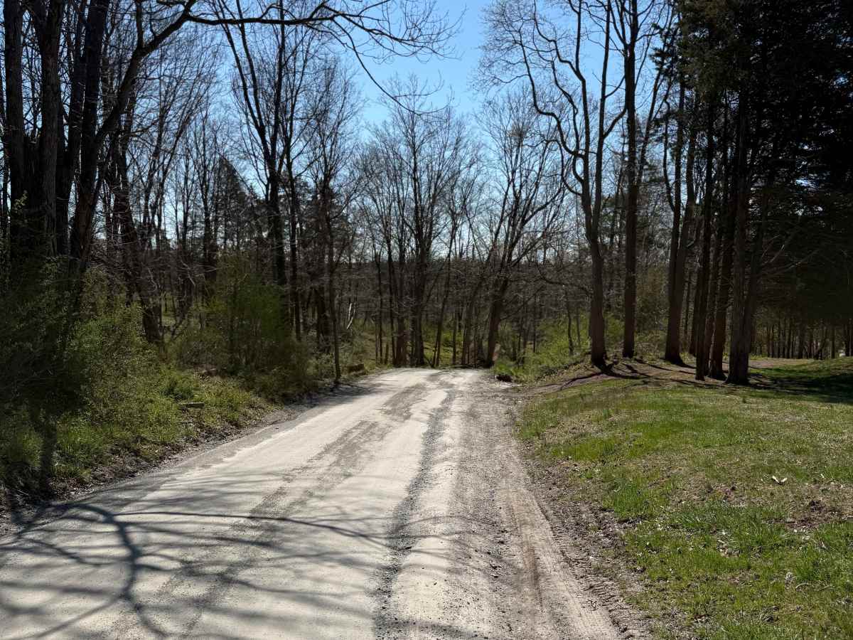 Tankhannen Road trail photo