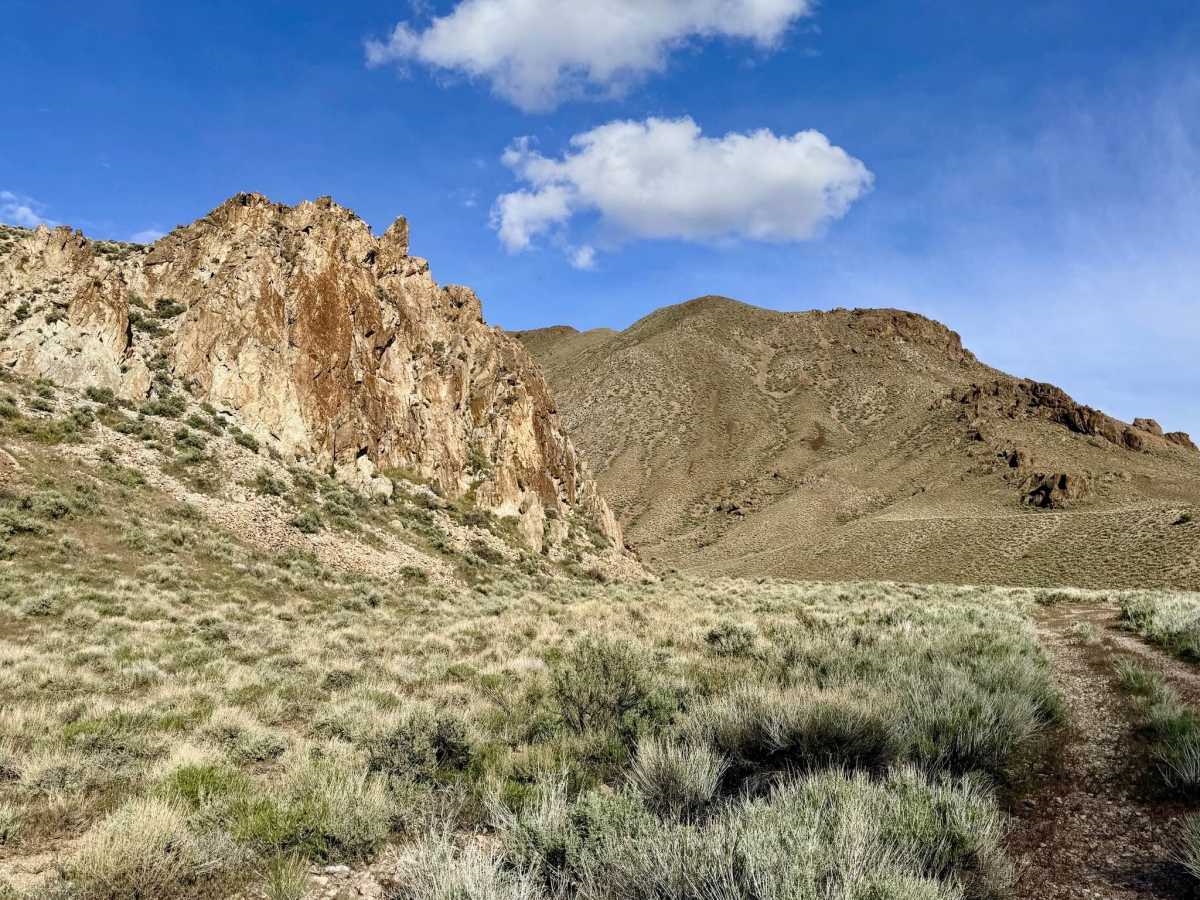  Horse Creek - FS 44166 photo 5