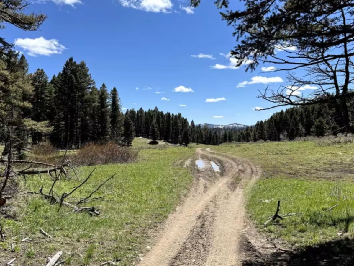 Pete Creek Trail photo 2