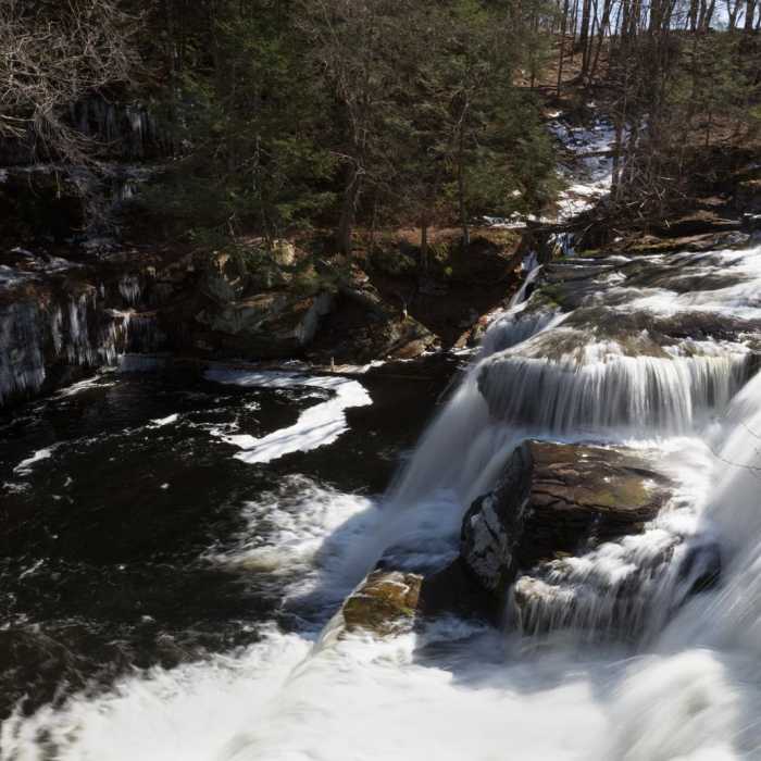 Near Shohola Falls Trail Near Shohola Falls Trail