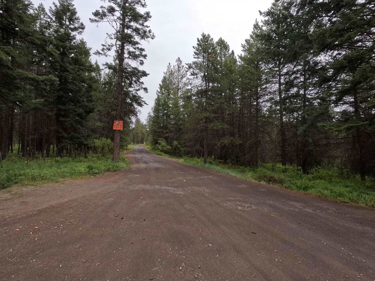 Crampton Road - FS 3120 trail photo