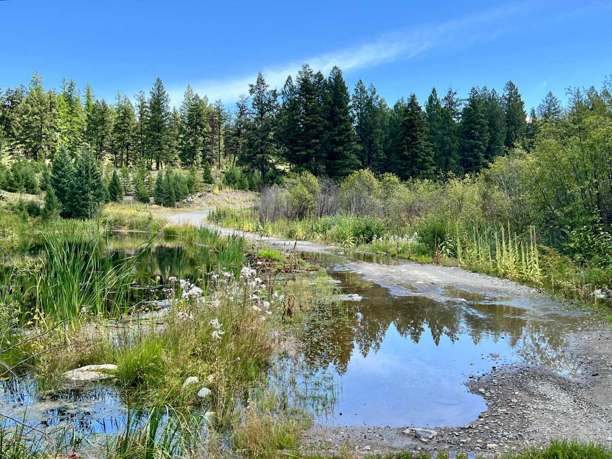 Meadow Creek Road photo 4