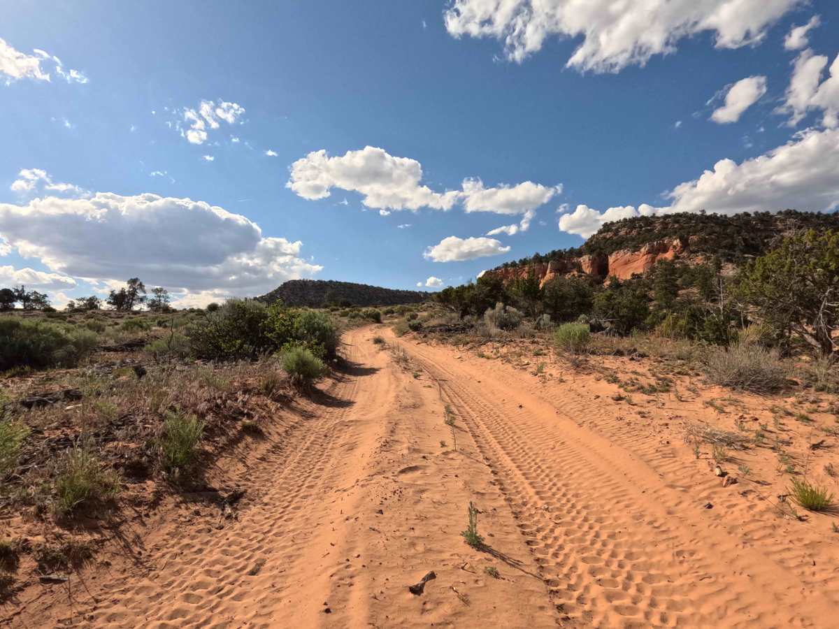 BLM 33 photo 2