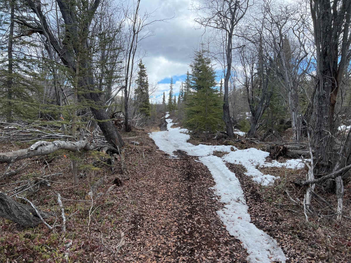 Dan Creek photo 6