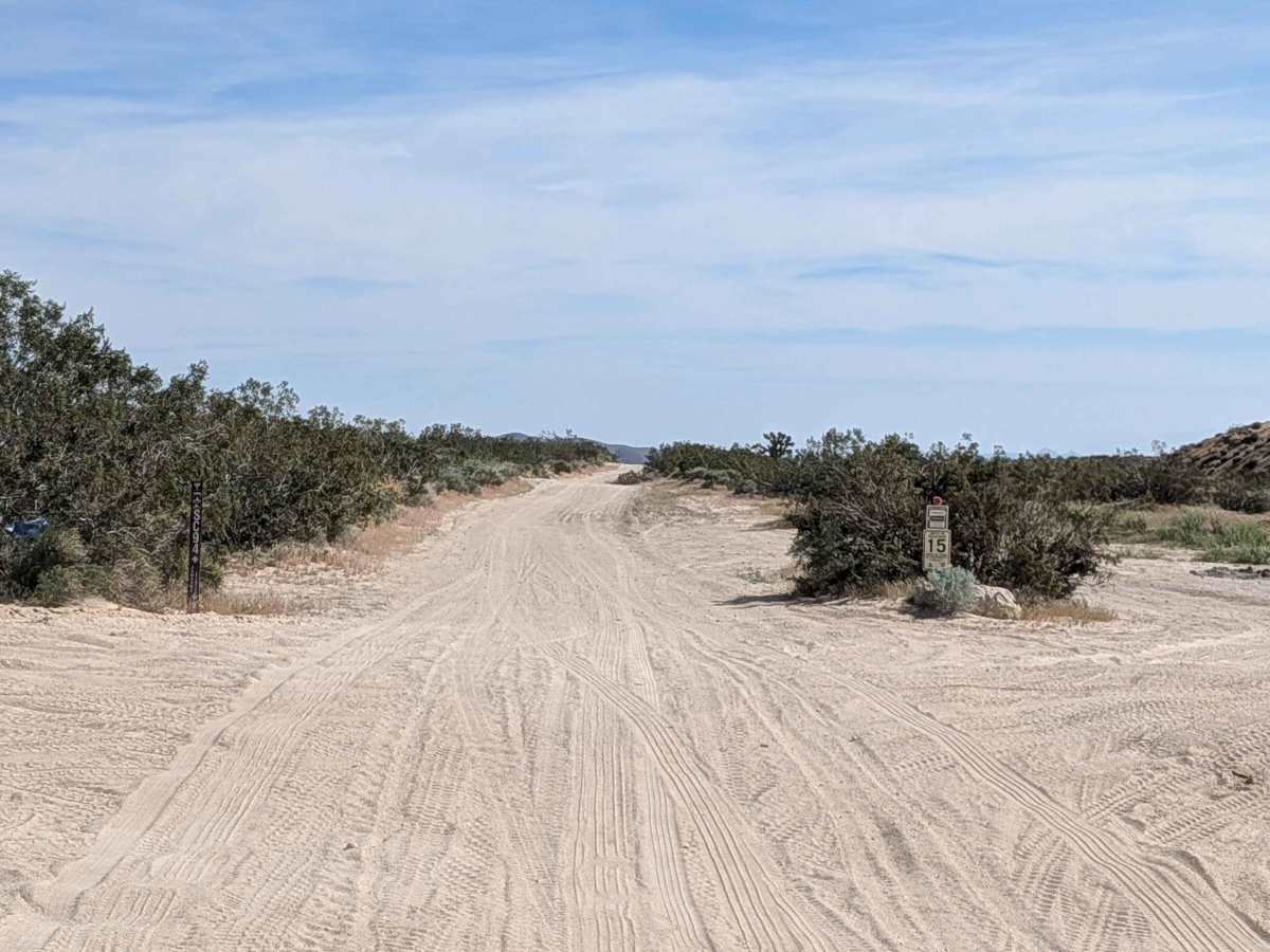 BLM SC94 photo 6