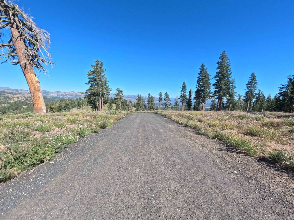 Bear Top Road - FS 7N12A photo 5