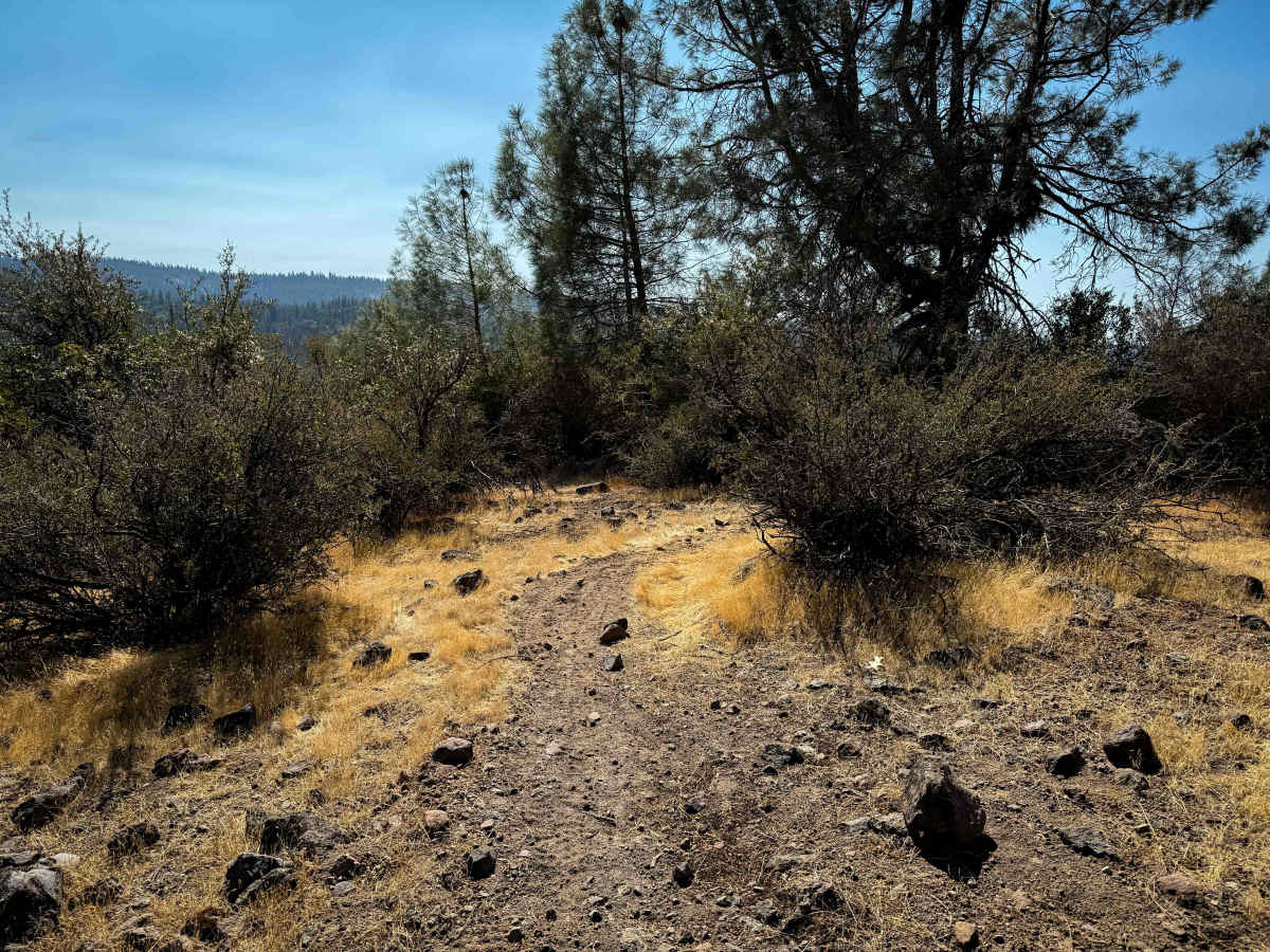 16EV253  trail photo