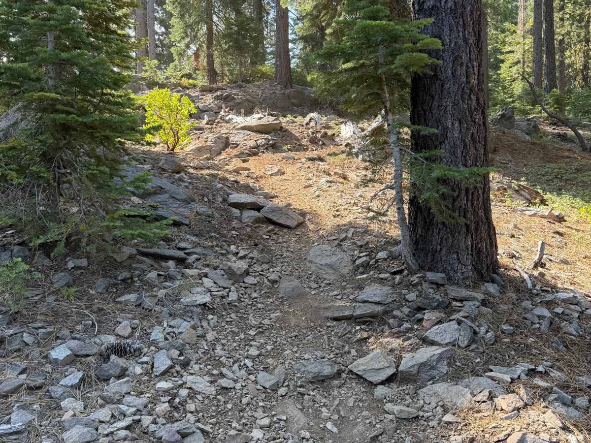 06 Moto Trail photo 3