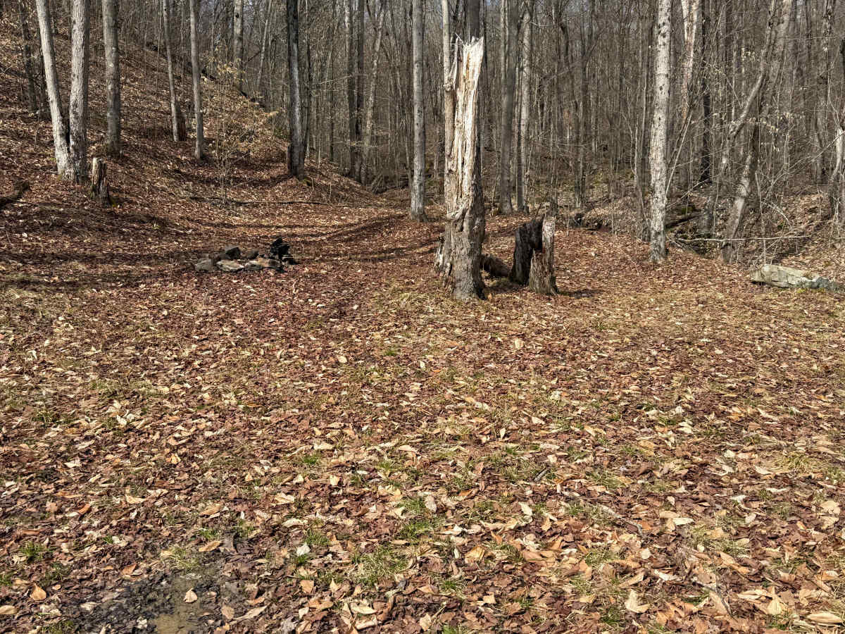 The Branch Spur A - FS 180A photo 5