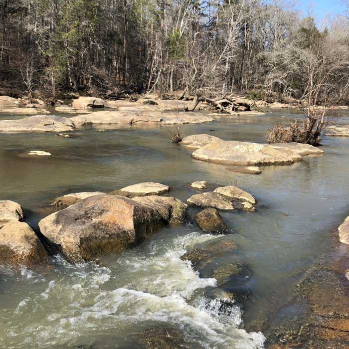 Near Rocky Creek Trail