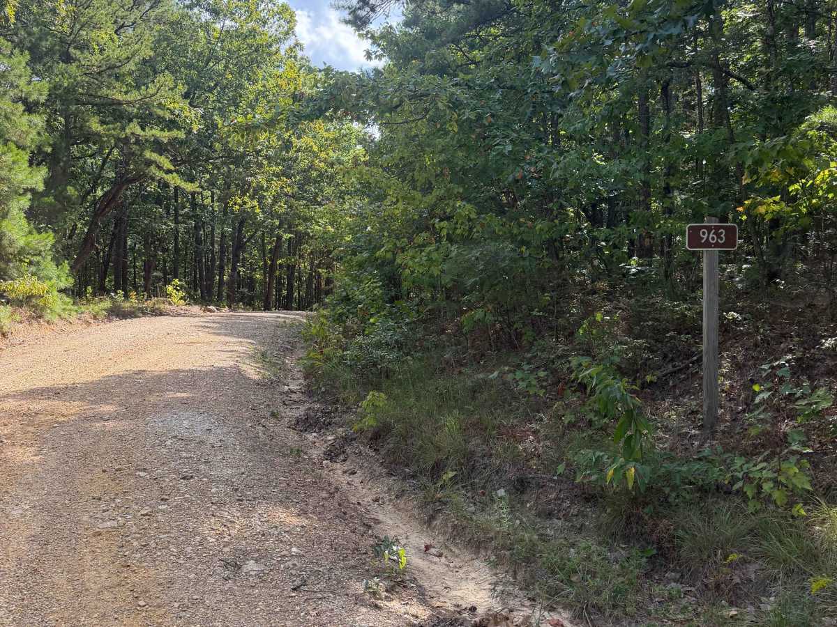Alum Cross Loop trail photo