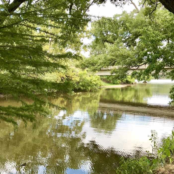 Near Woodlands Park and Nature Preserve Trail