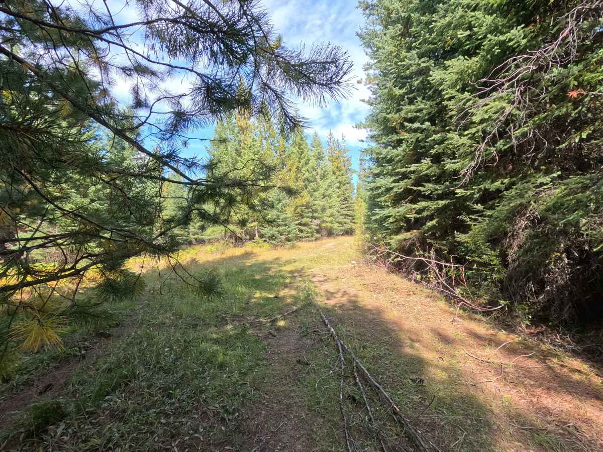 Kennett Meadows- FS 1700460 photo 4